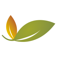 Icon Logo Blätter Waldgeheimnisse