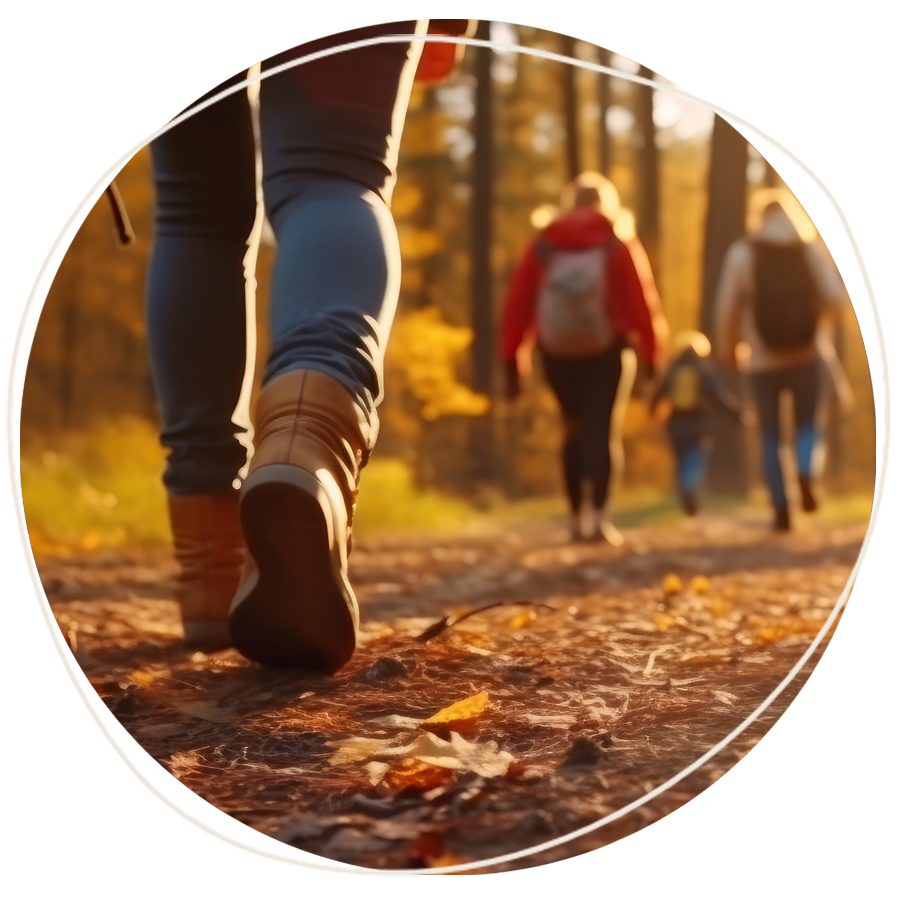 kreis-gruppe Waldwanderung für Gruppen, Menschengruppe wandert durch den Wald