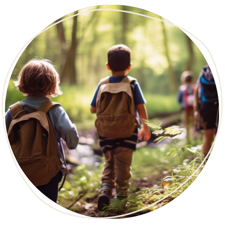 kreise-kinder Waldwanderung „für Schulklassen“, Kinder wandern durch den Wald
