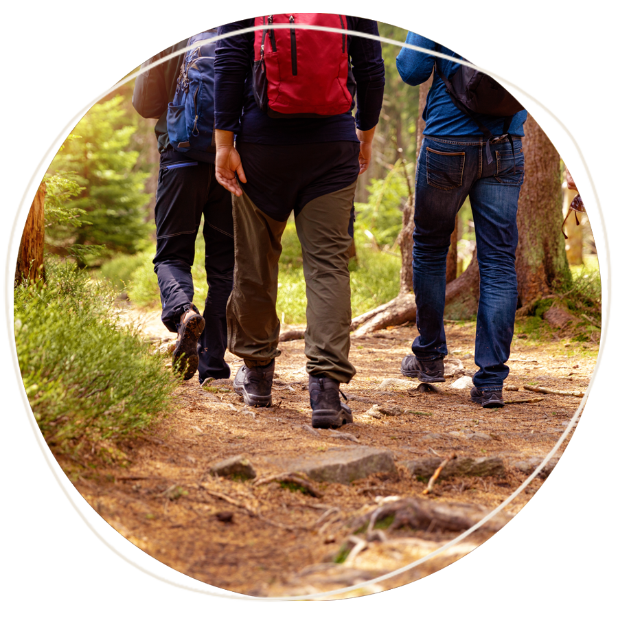 kreise-waldwanderung Waldwanderung „Waldgeheimnisse“, Menschen wandern durch den Wald